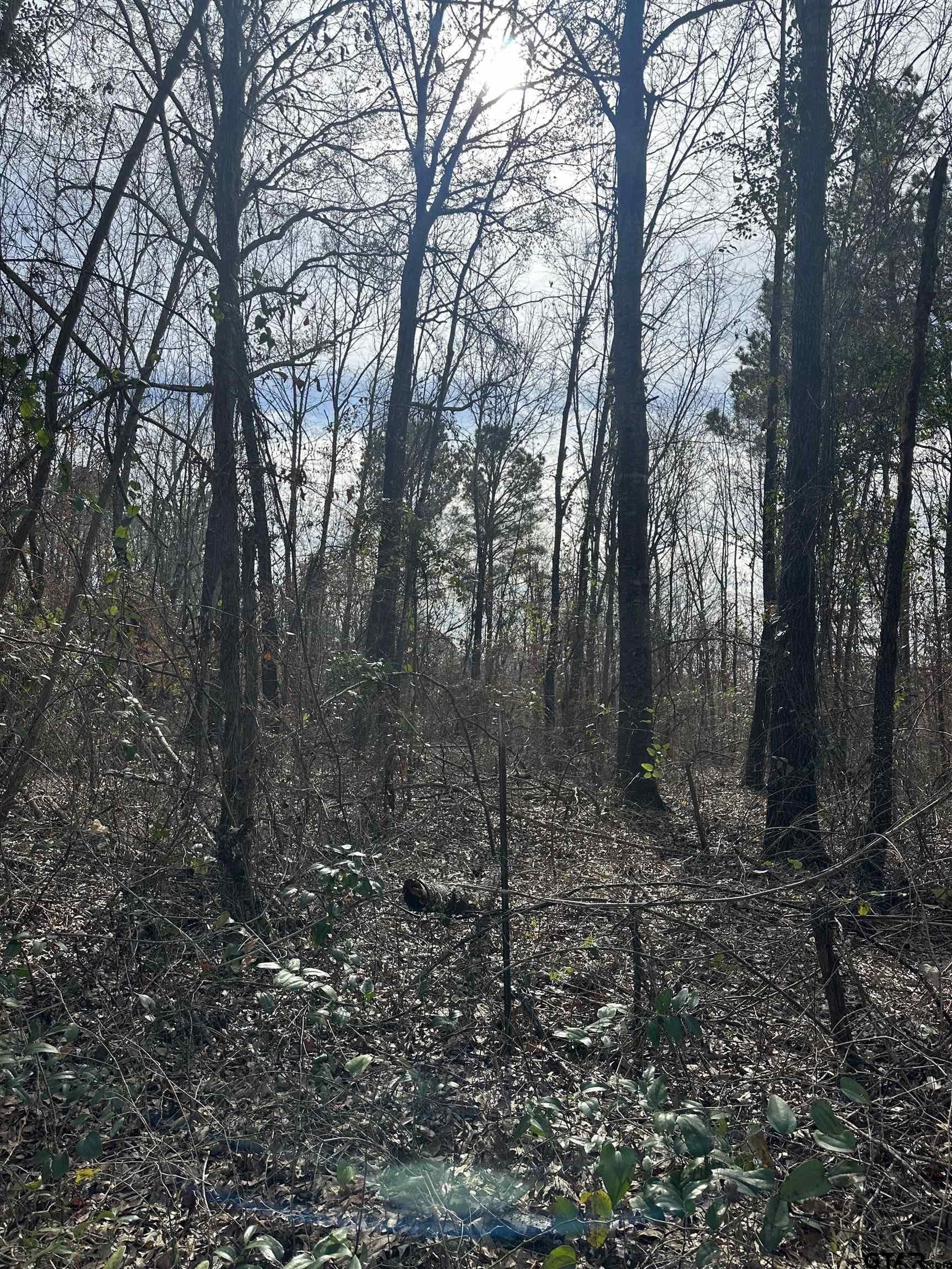 51.4 acres in Cherokee County - photo 13