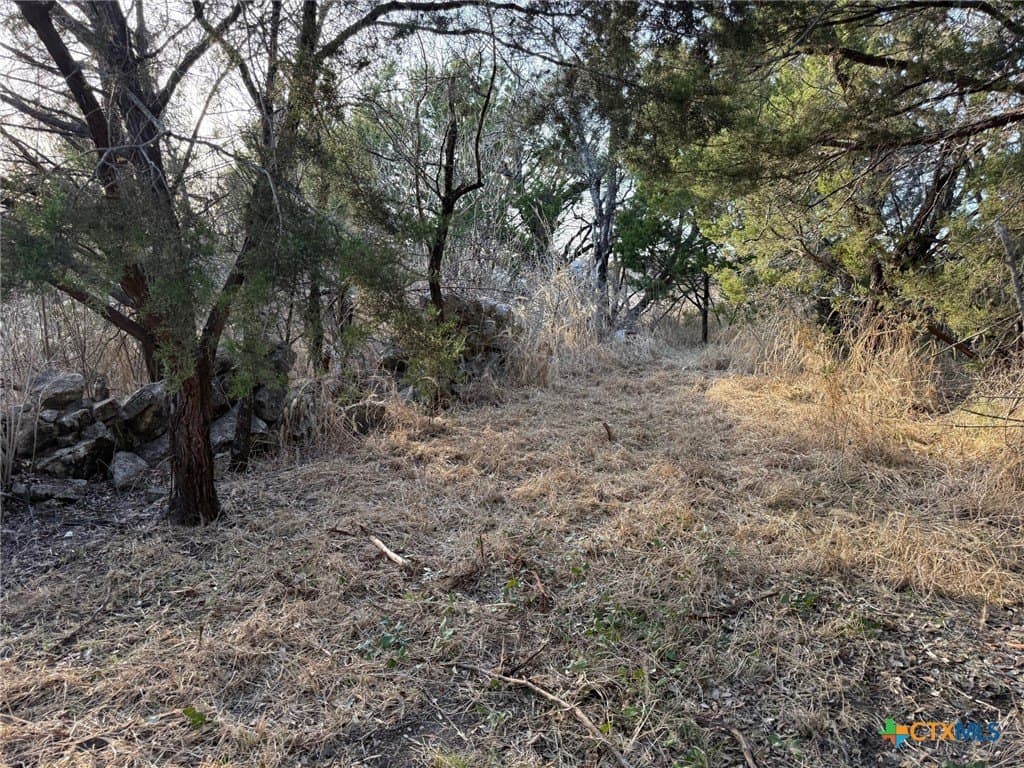 4.78 acres in Coryell County - photo 11