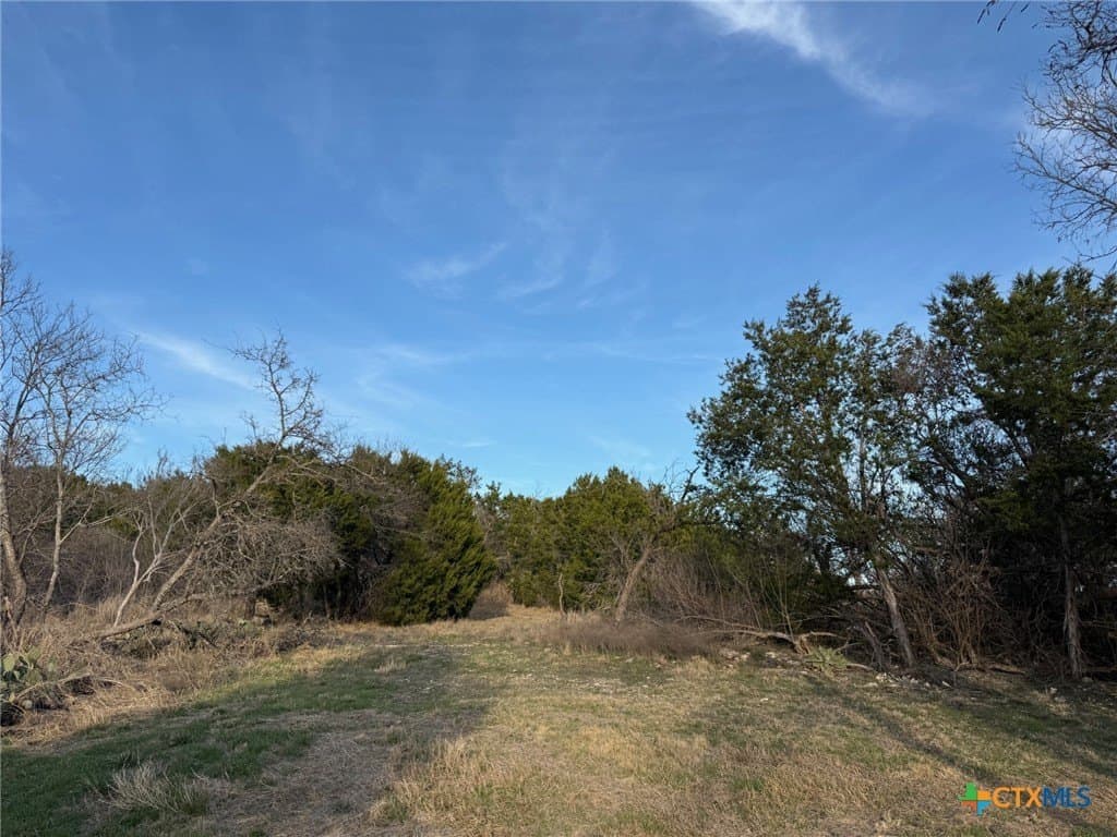 4.78 acres in Coryell County - photo 6