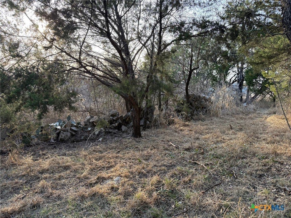 4.78 acres in Coryell County - photo 8