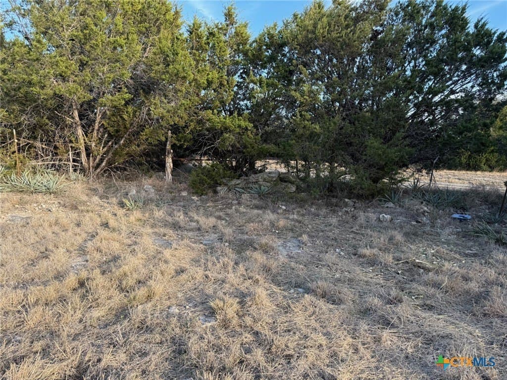 4.78 acres in Coryell County - photo 13