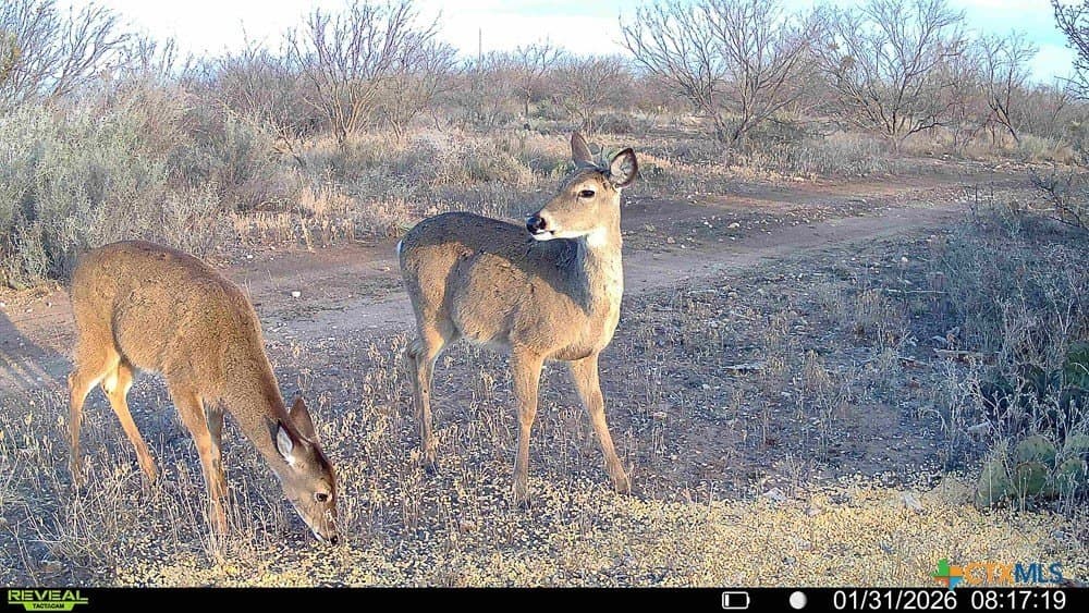 50 acres in McCulloch County - photo 28