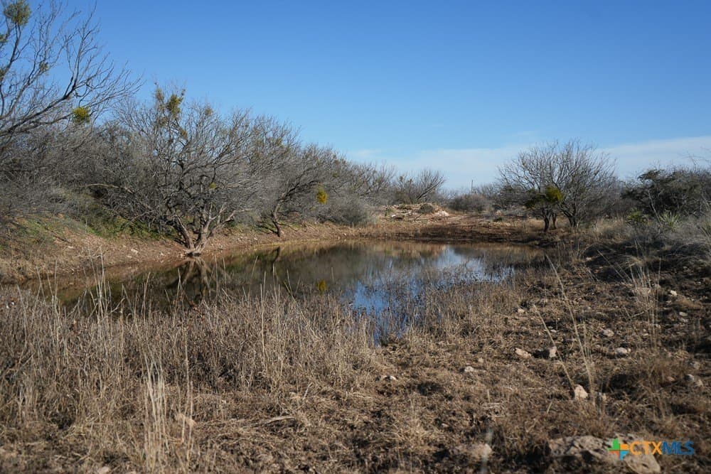 50 acres in McCulloch County - photo 14