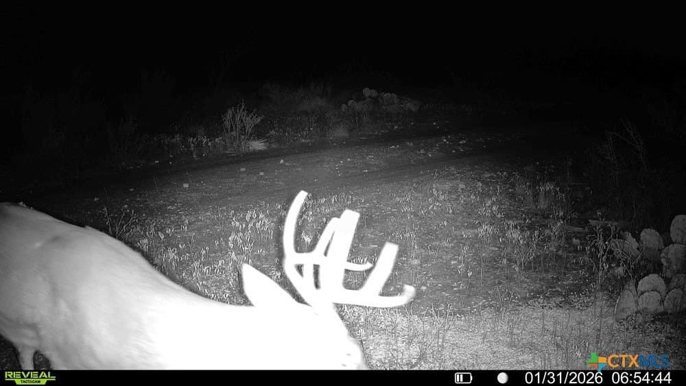 50 acres in McCulloch County - photo 27