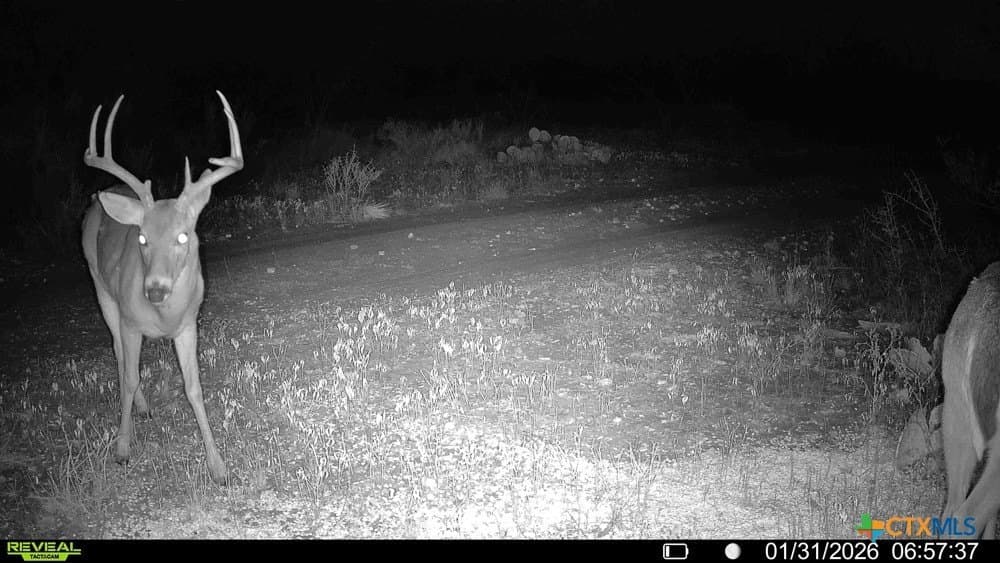 50 acres in McCulloch County - photo 24