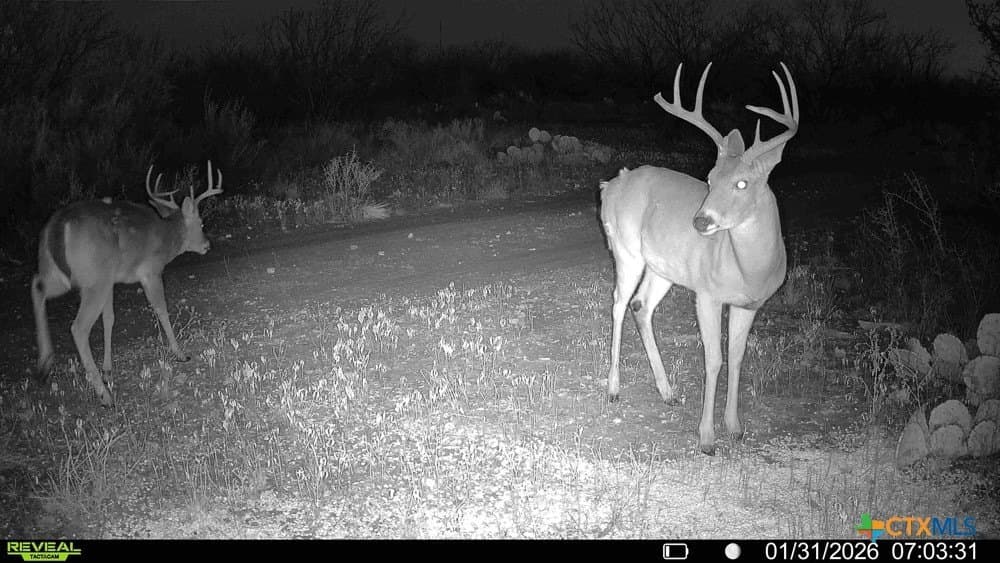 50 acres in McCulloch County - photo 25