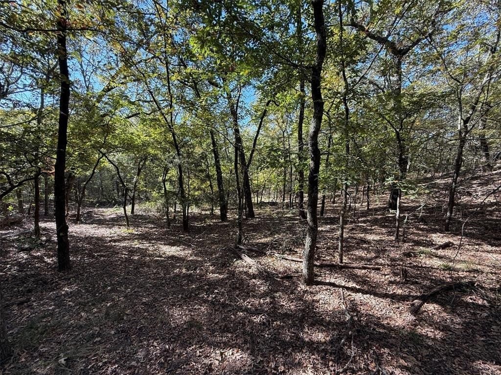 10.43 acres in Denton County - photo 10