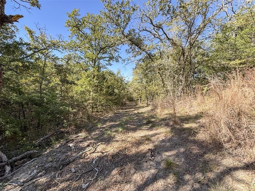 10.43 acres in Denton County - photo 13