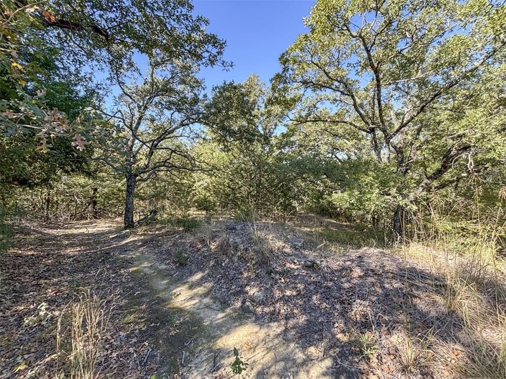 10.43 acres in Denton County - photo 12
