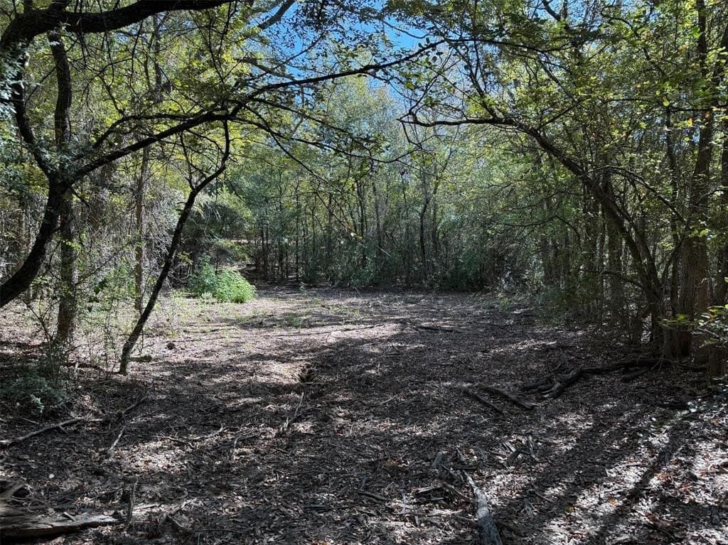 10.43 acres in Denton County - photo 11