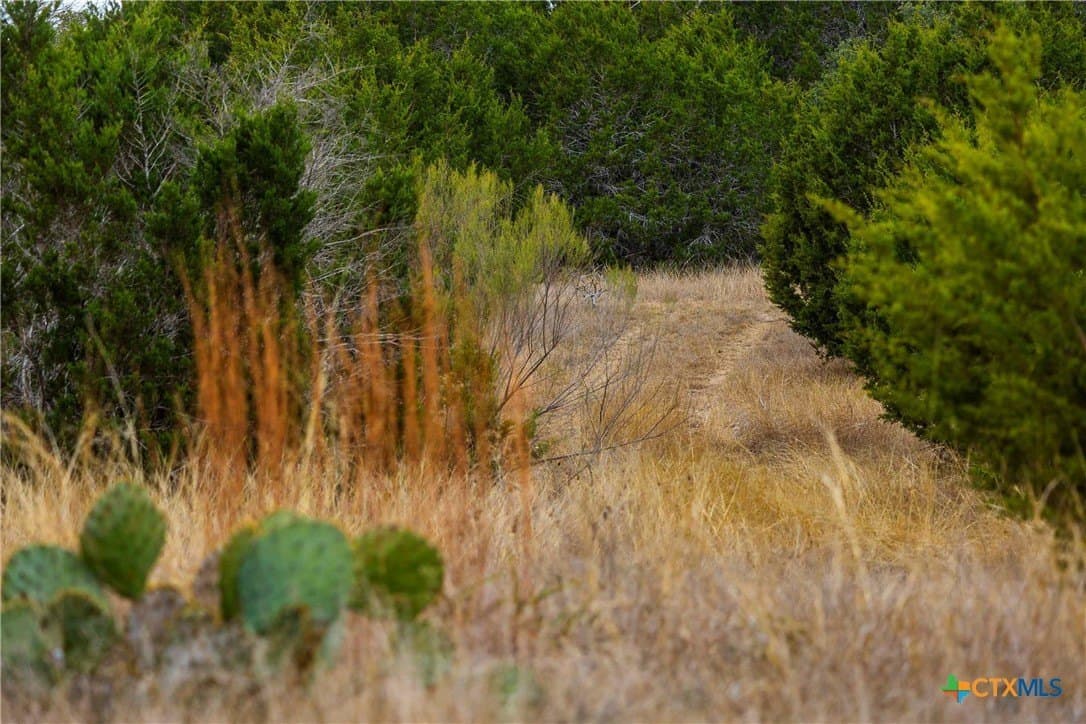 48.92 acres in Burnet County - photo 12