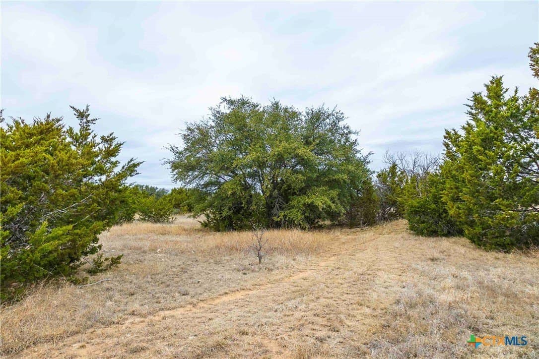 48.92 acres in Burnet County - photo 6
