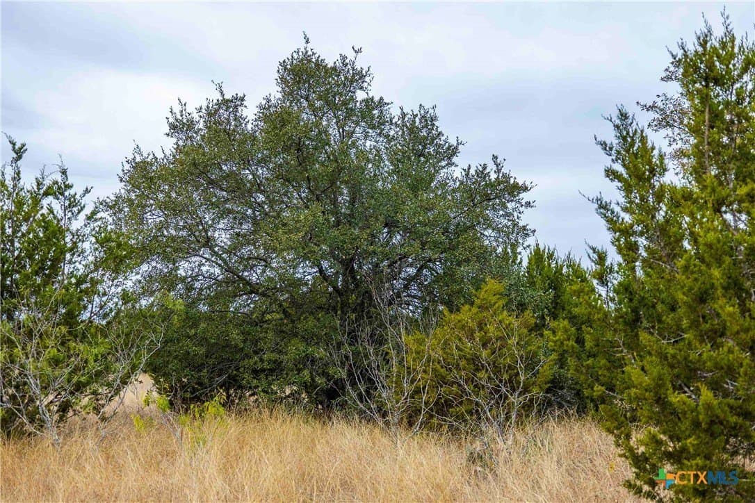 48.92 acres in Burnet County - photo 11