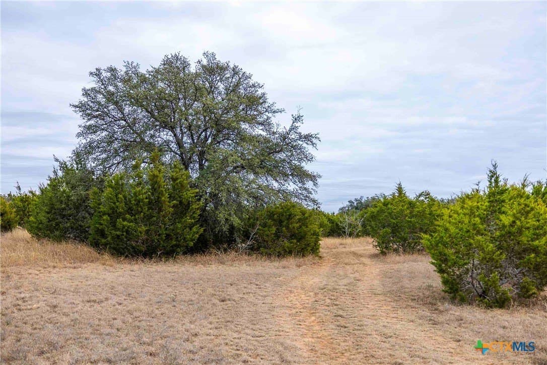 48.92 acres in Burnet County - photo 8