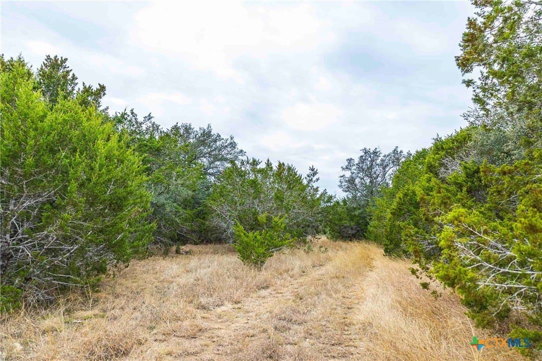 48.92 acres in Burnet County - photo 13