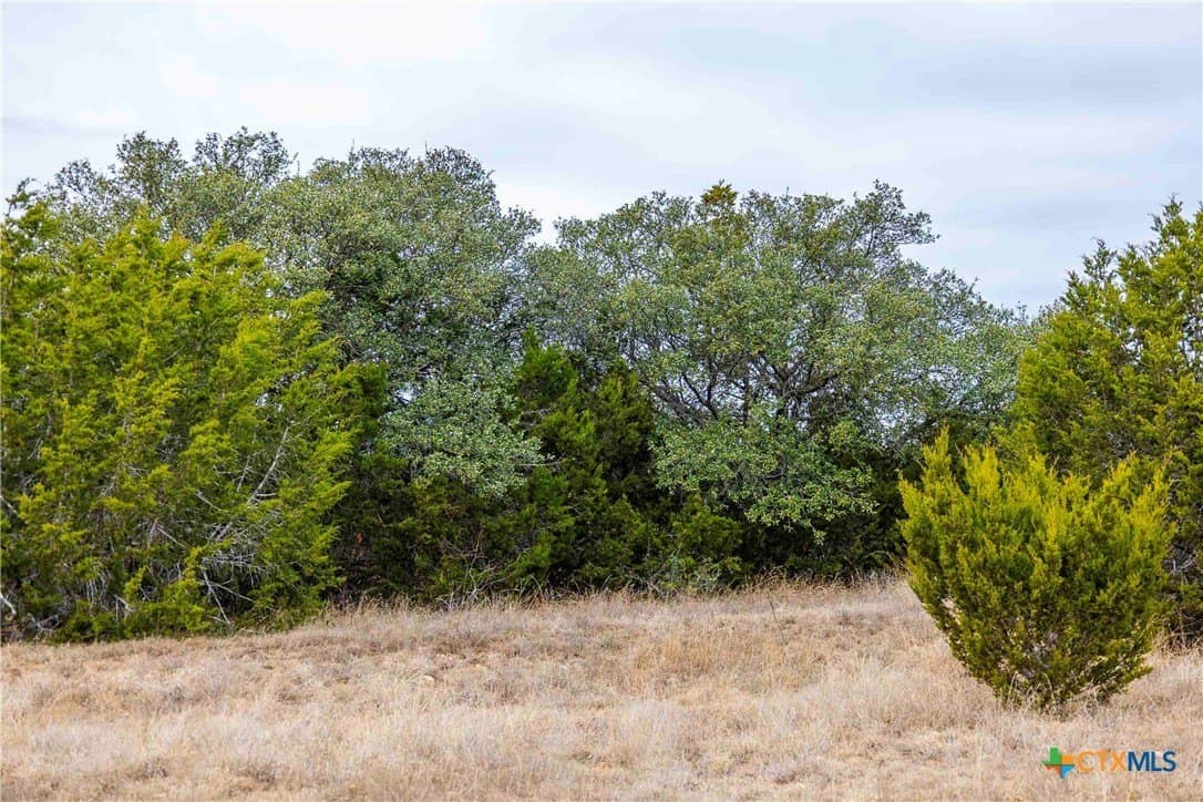 48.92 acres in Burnet County - photo 9