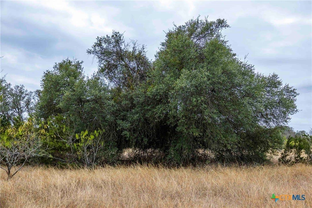 48.92 acres in Burnet County - photo 17