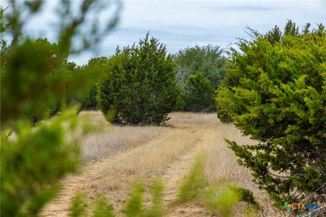 48.92 acres in Burnet County - photo 15