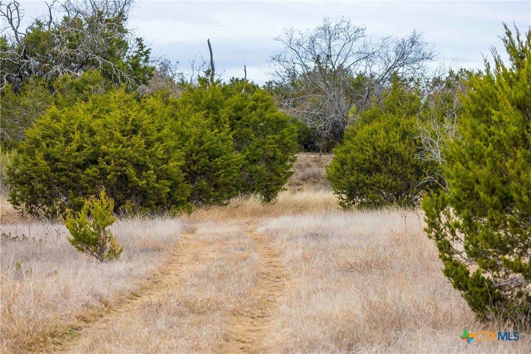 48.92 acres in Burnet County - photo 16