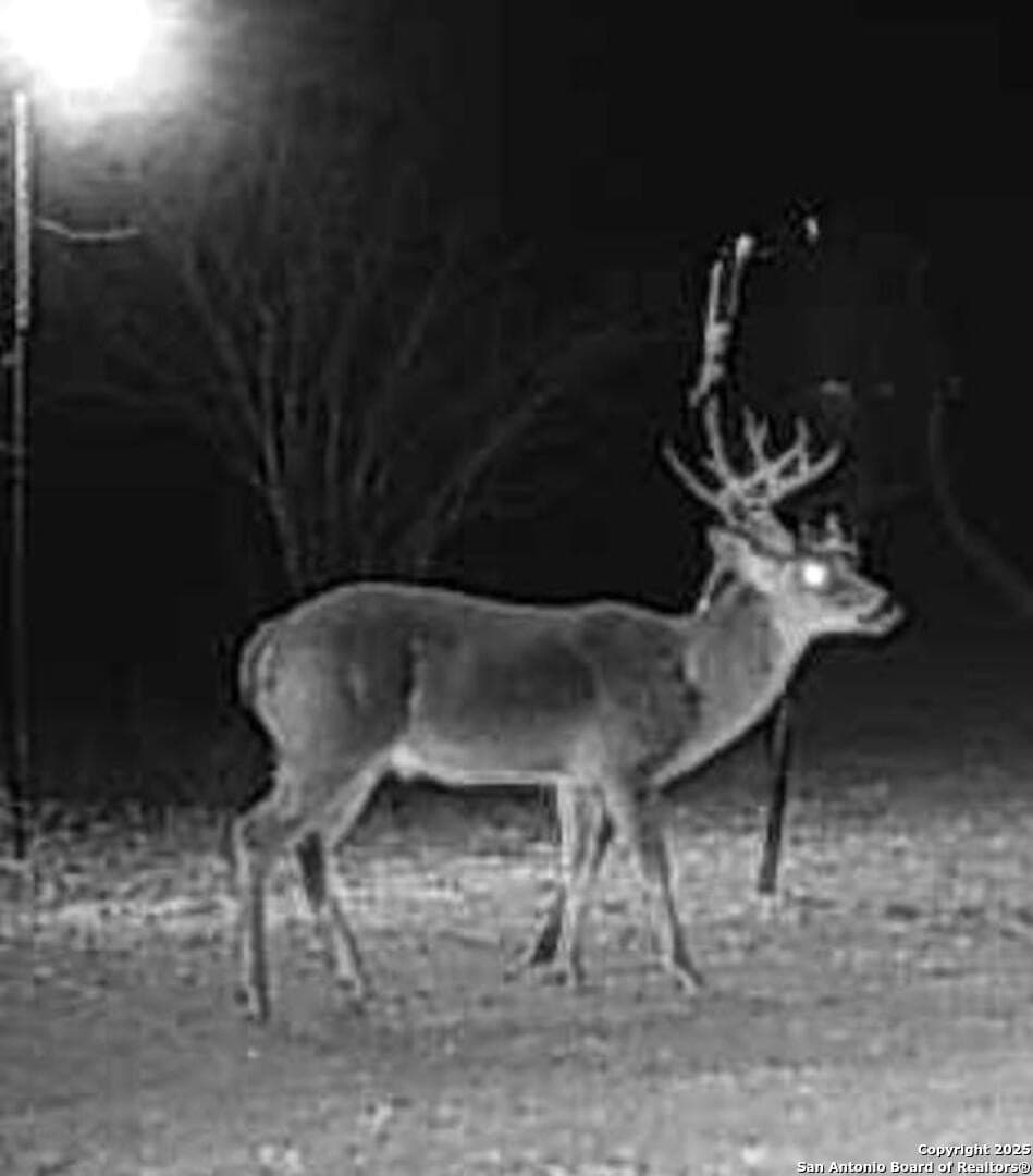 38 acres in Medina County - photo 73