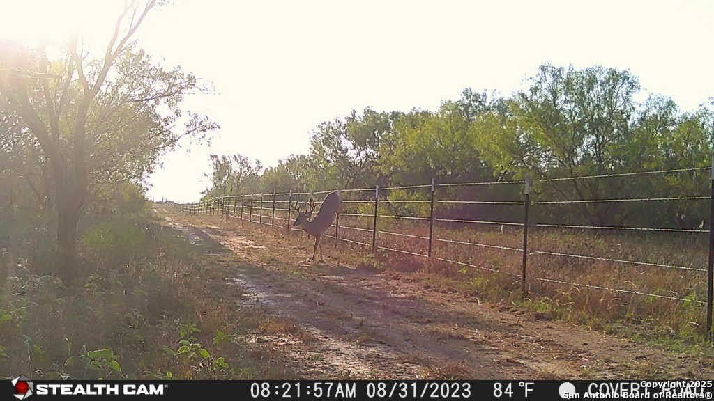 38 acres in Medina County - photo 74