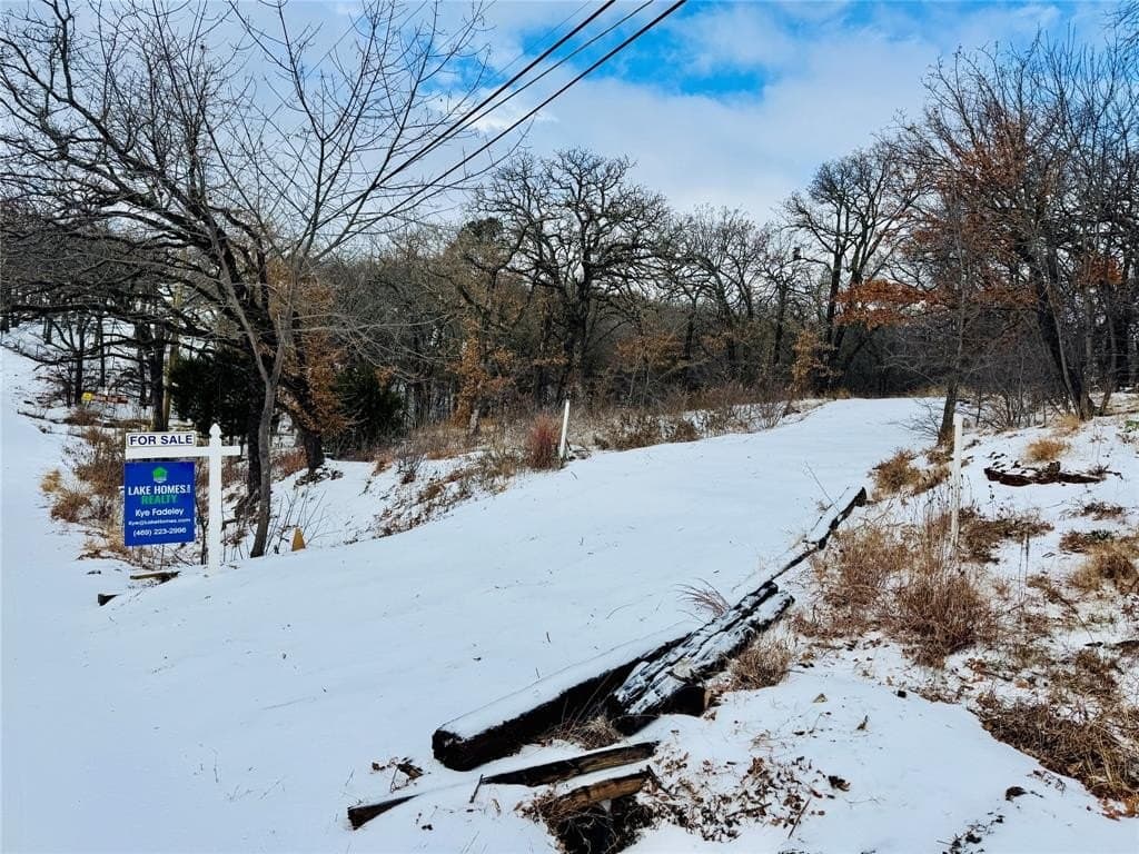 0.36 acres in Denton County - photo 6
