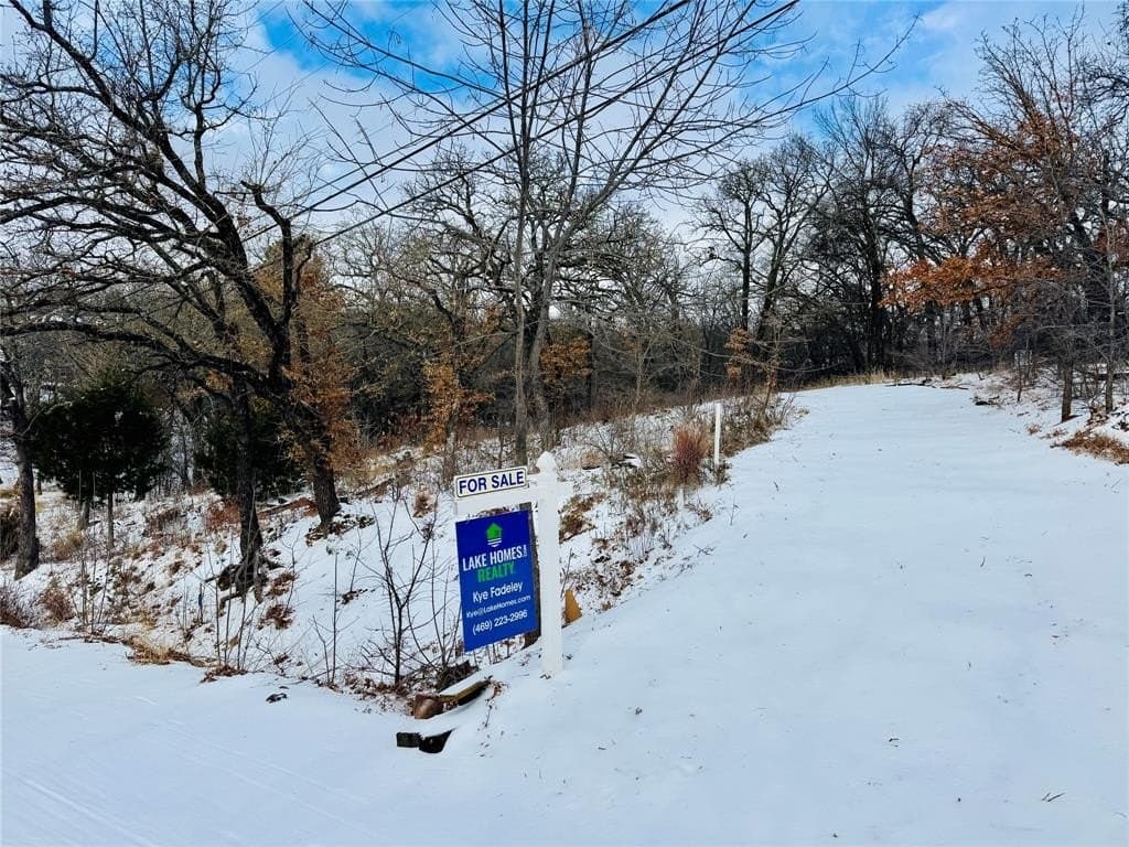 0.36 acres in Denton County - photo 7