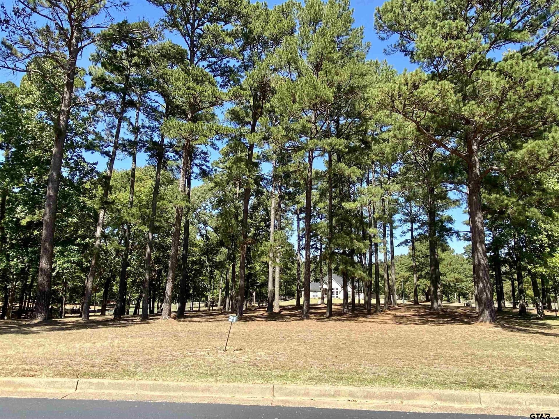 0.38 acres in Anderson County - photo 3