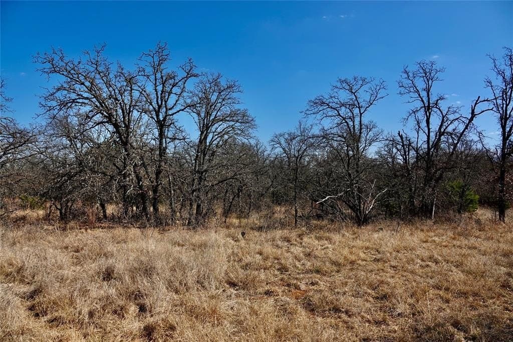130 acres in Mills County - photo 27