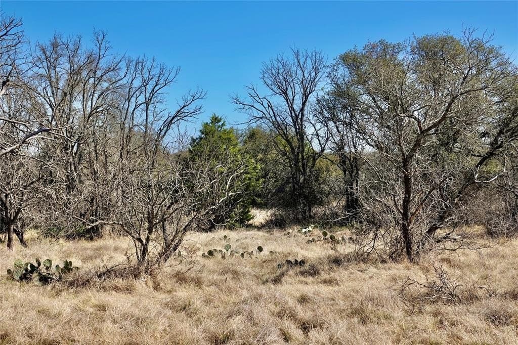 130 acres in Mills County - photo 18
