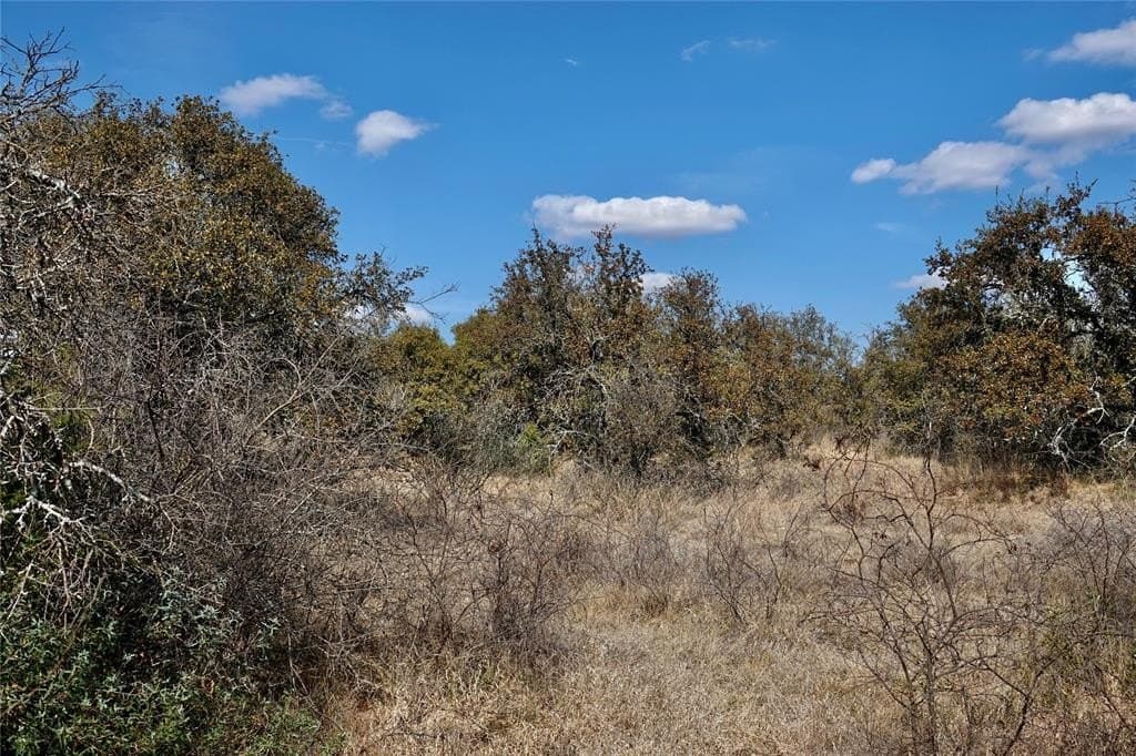 130 acres in Mills County - photo 36