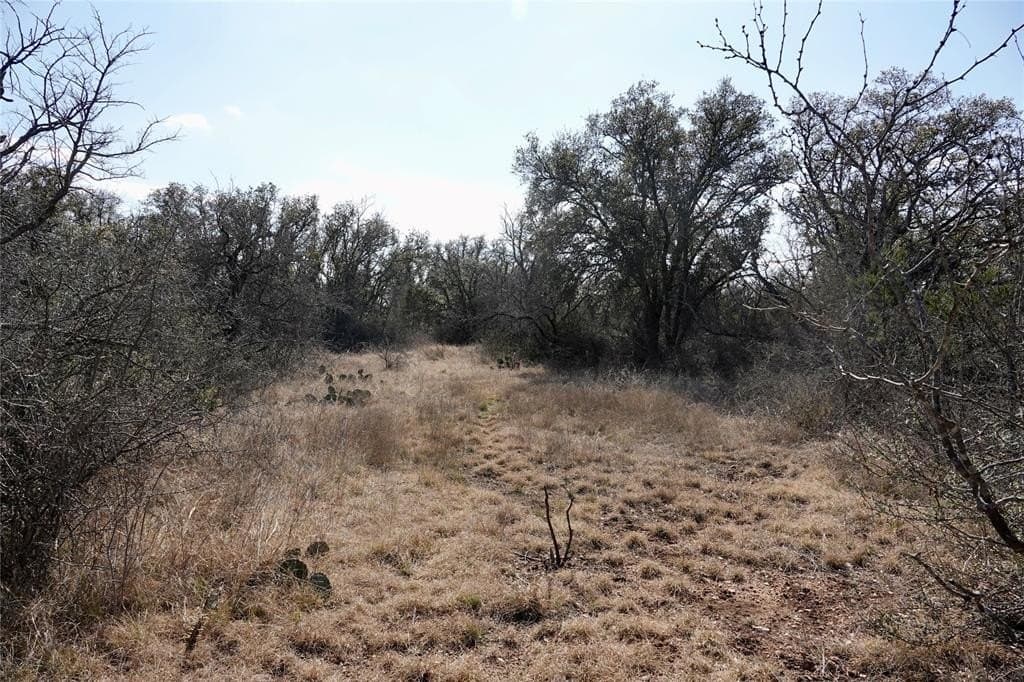 130 acres in Mills County - photo 31