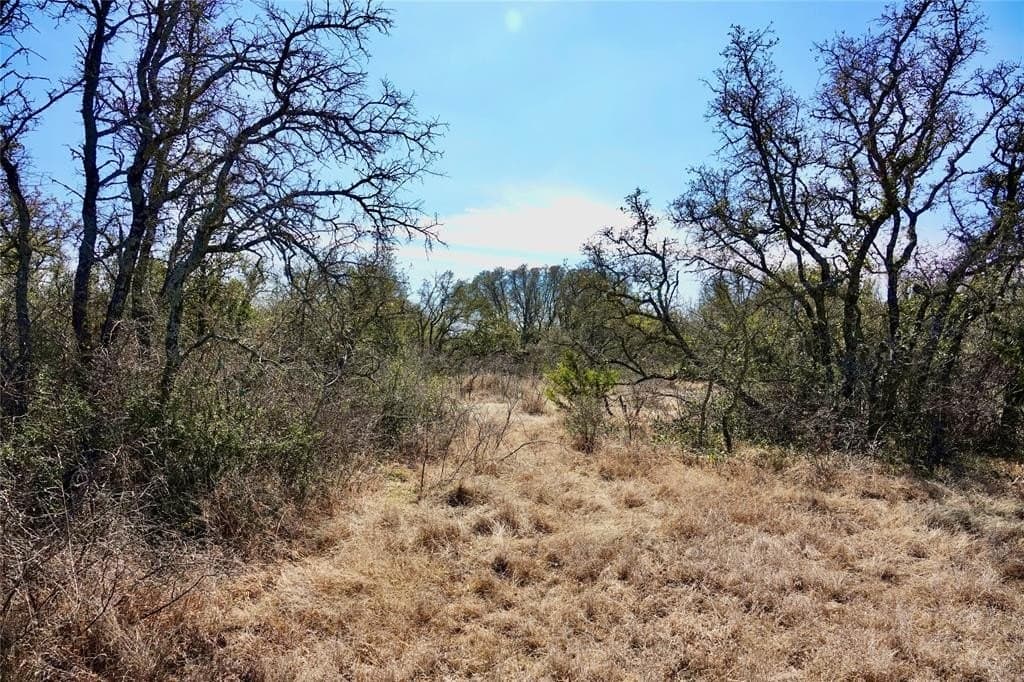130 acres in Mills County - photo 12