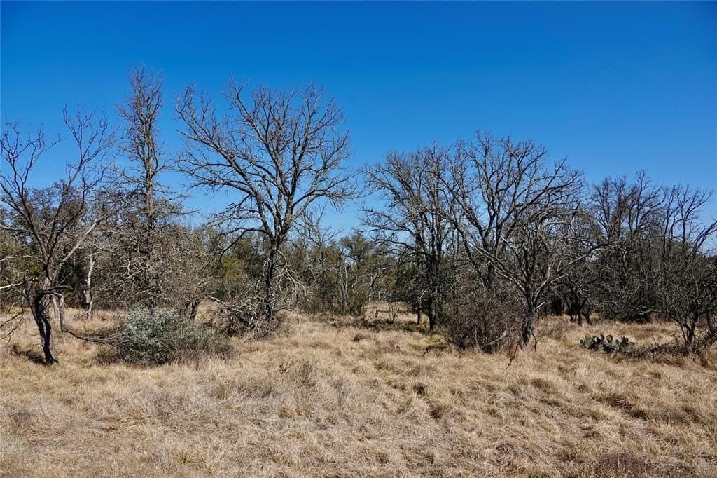 130 acres in Mills County - photo 17