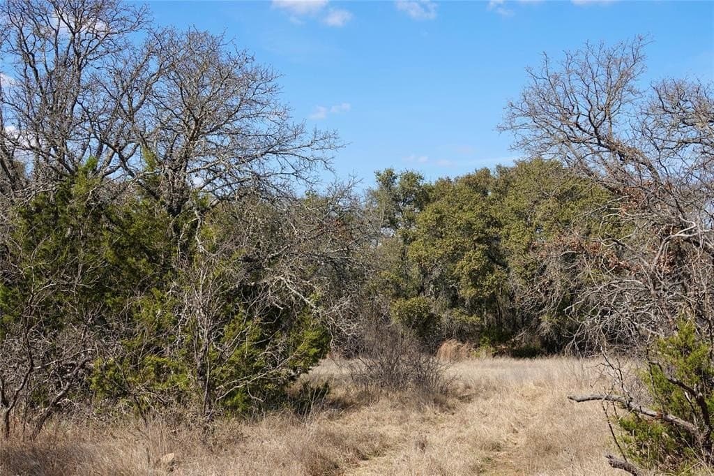 130 acres in Mills County - photo 35