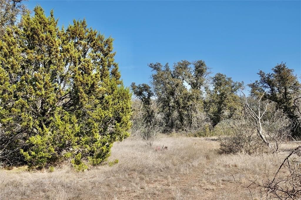 130 acres in Mills County - photo 32
