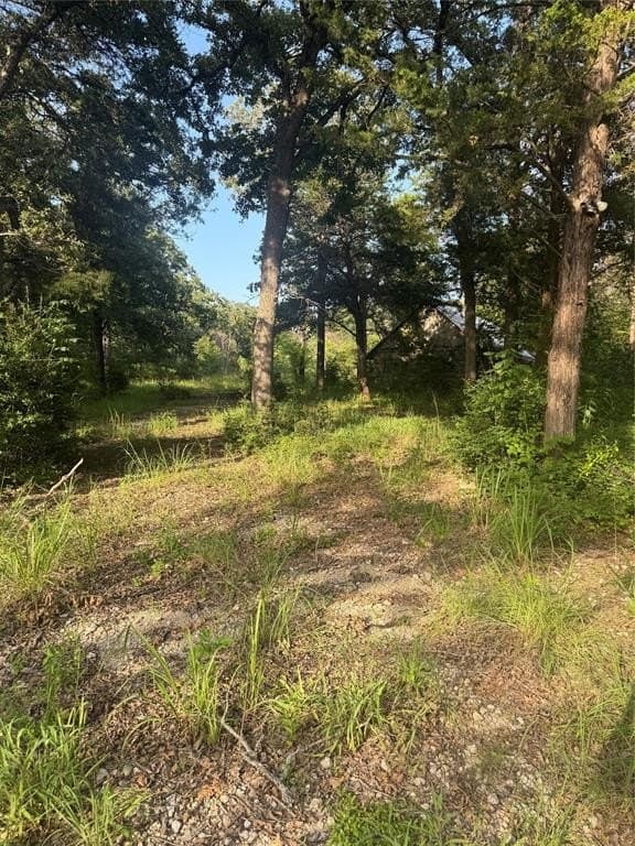 12 acres in Freestone County - photo 5