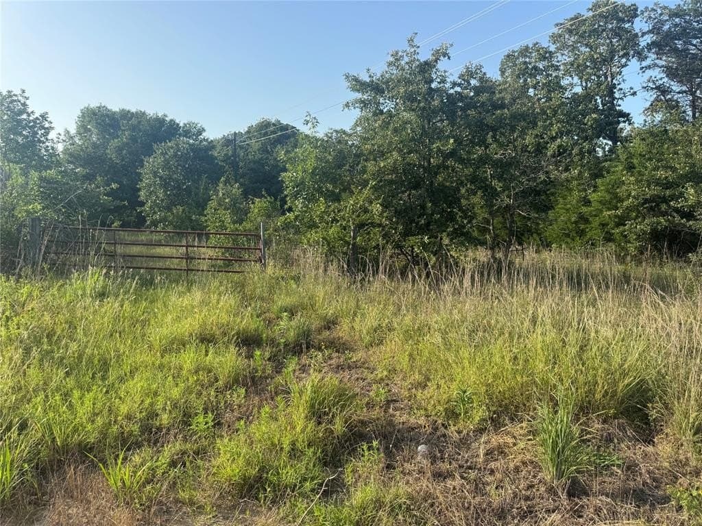 12 acres in Freestone County - photo 2