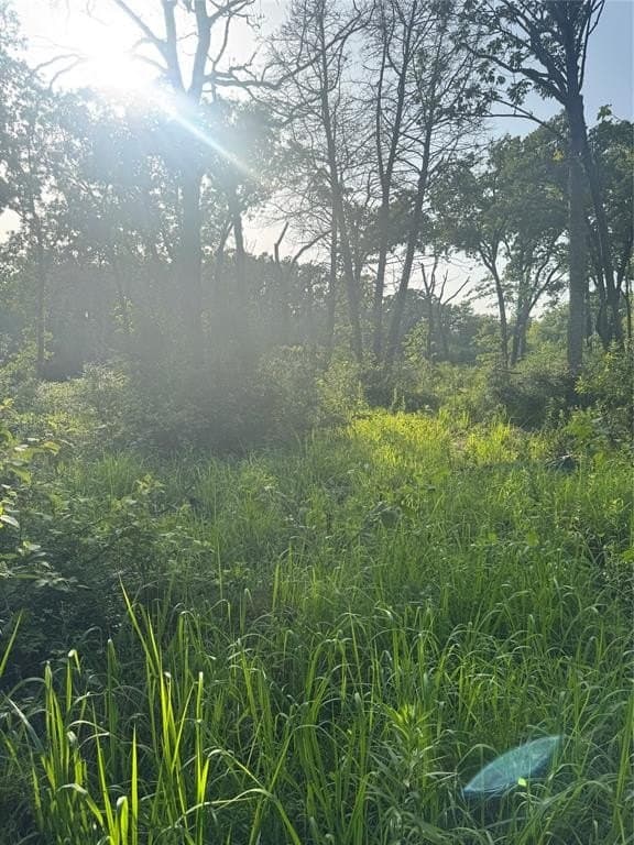 12 acres in Freestone County - photo 6