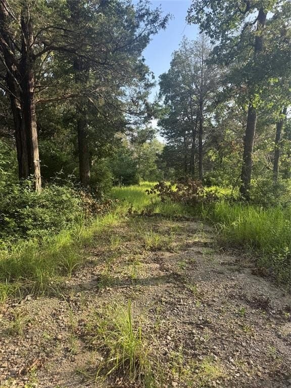 12 acres in Freestone County - photo 9