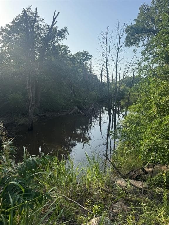 12 acres in Freestone County - photo 4