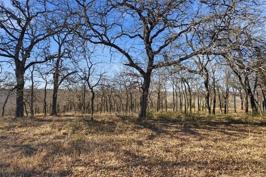 10 acres in McLennan County - photo 2