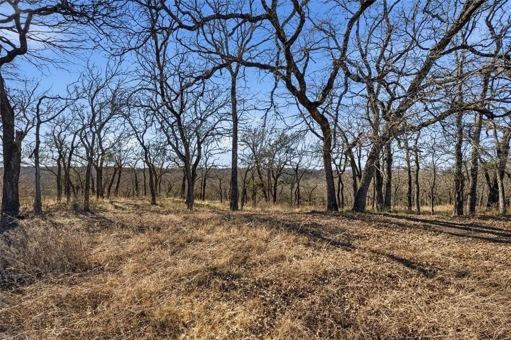 Tbd Tokio Road
