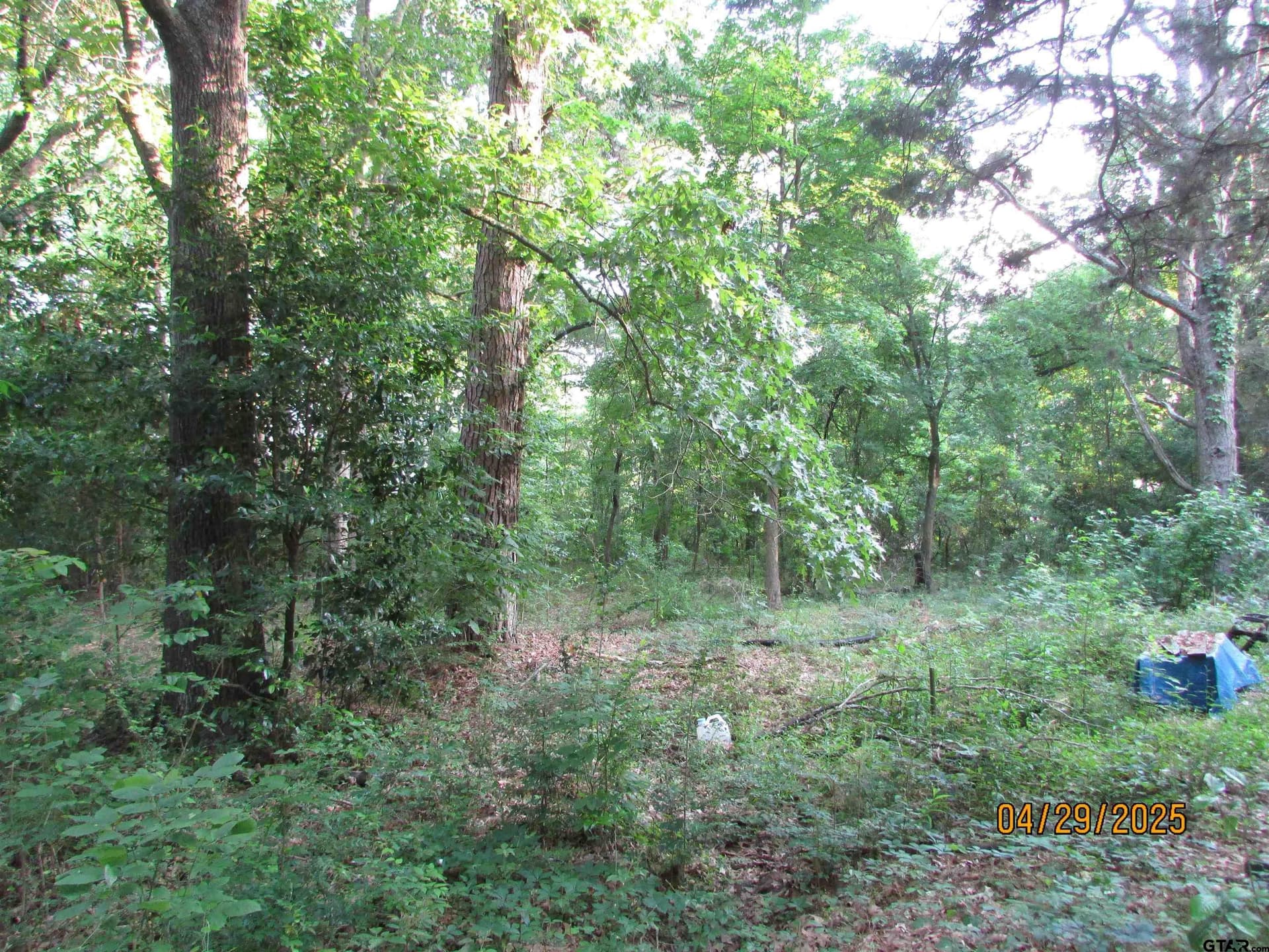 0.77 acres in Rusk County - photo 7