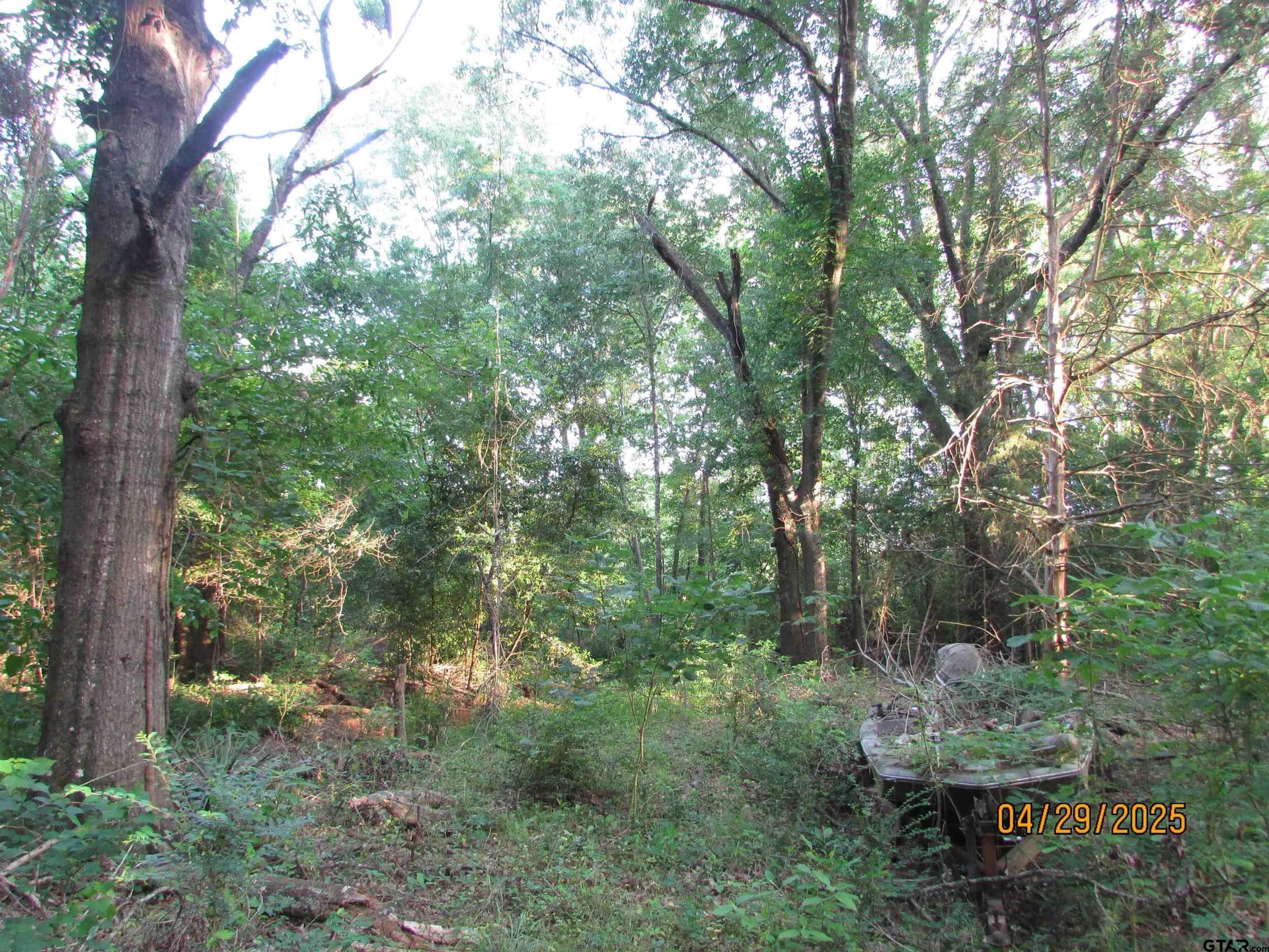 0.77 acres in Rusk County - photo 6