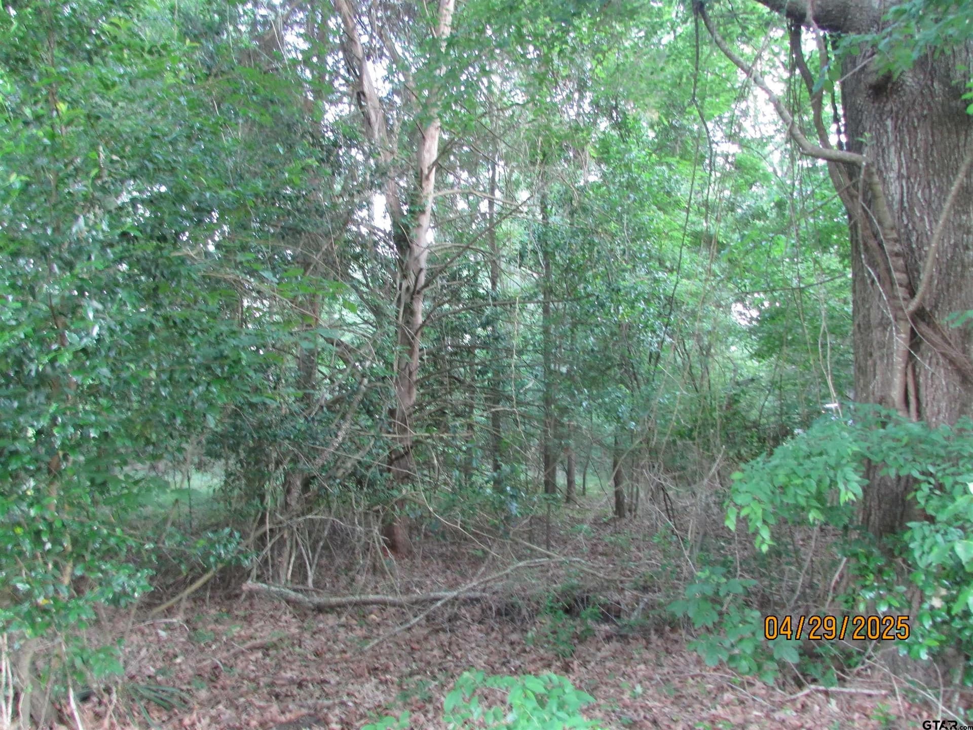 0.77 acres in Rusk County - photo 4