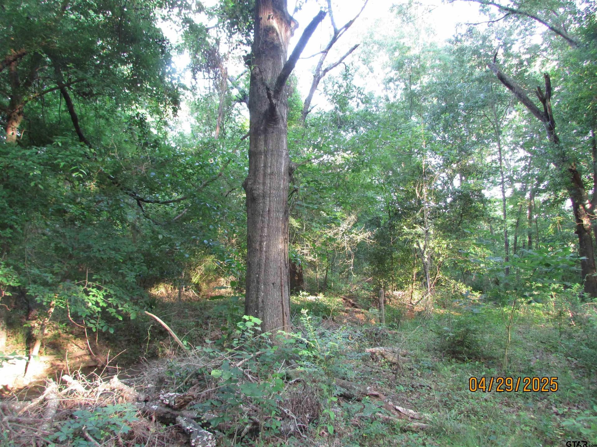0.77 acres in Rusk County - photo 5
