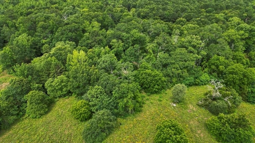 27 acres in Upshur County - photo 34