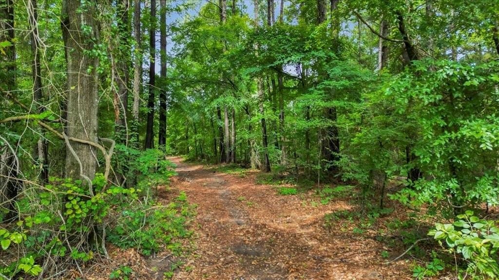 27 acres in Upshur County - photo 31