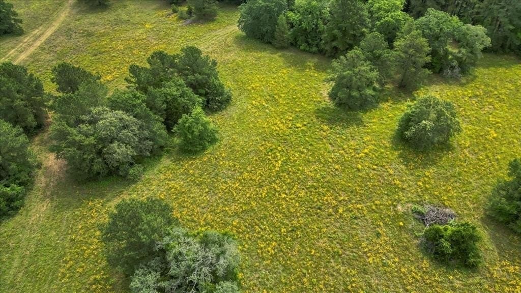 27 acres in Upshur County - photo 33